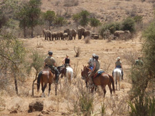 Tanzania-Tanzania-Tanzania Safari Getaways